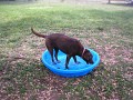 Katie in the pool